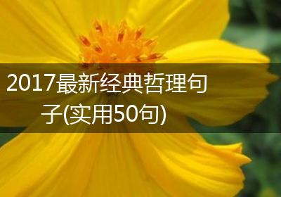 2017最新经典哲理句子(实用50句)