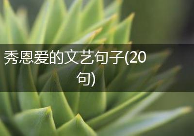 秀恩爱的文艺句子(20句)