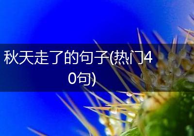 秋天走了的句子(热门40句)