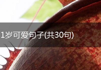 1岁可爱句子(共30句)
