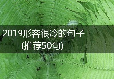 2019形容很冷的句子(推荐50句)