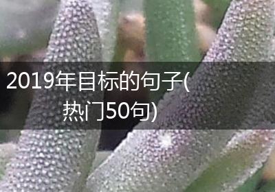 2019年目标的句子(热门50句)
