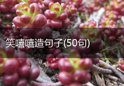 笑嘻嘻造句子(50句)