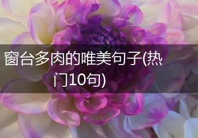 窗台多肉的唯美句子(热门10句)