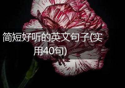 简短好听的英文句子(实用40句)