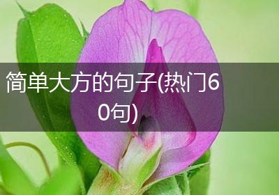 简单大方的句子(热门60句)