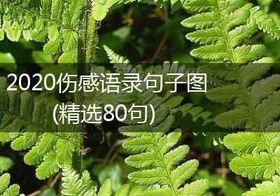 2020伤感语录句子图(精选80句)