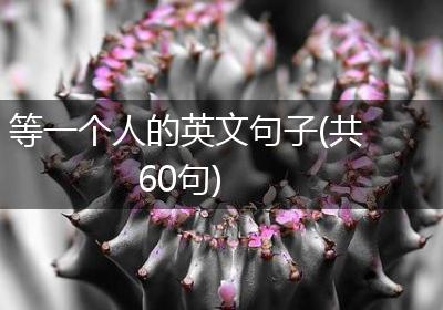 等一个人的英文句子(共60句)
