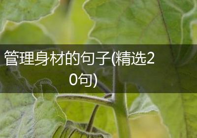 管理身材的句子(精选20句)
