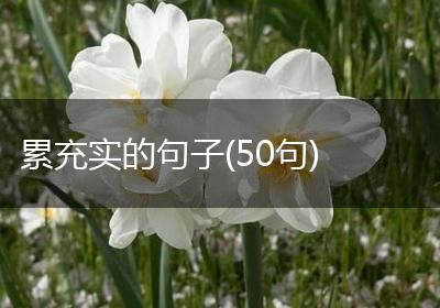 累充实的句子(50句)