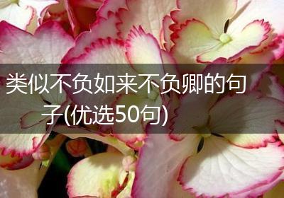 类似不负如来不负卿的句子(优选50句)