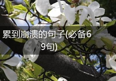 累到崩溃的句子(必备69句)