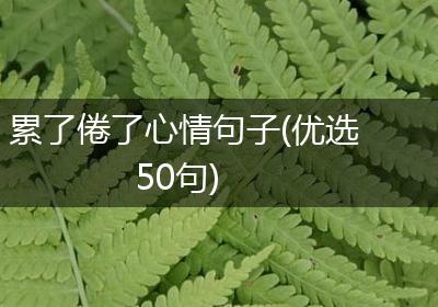 累了倦了心情句子(优选50句)