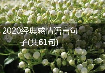 2020经典感情语言句子(共61句)