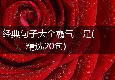 经典句子大全霸气十足(精选20句)