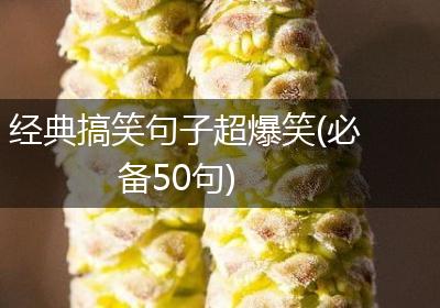 经典搞笑句子超爆笑(必备50句)