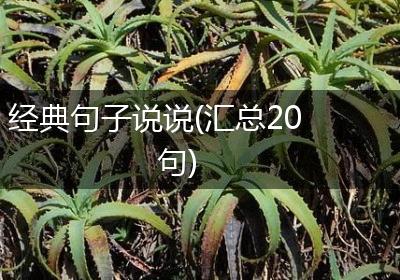 经典句子说说(汇总20句)