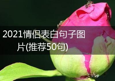 2021情侣表白句子图片(推荐50句)