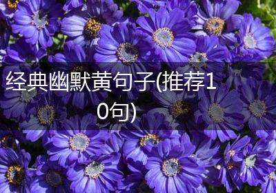 经典幽默黄句子(推荐10句)