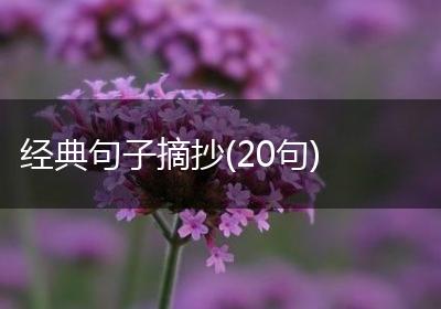 经典句子摘抄(20句)