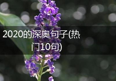2020的深奥句子(热门10句)