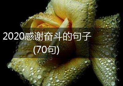 2020感谢奋斗的句子(70句)