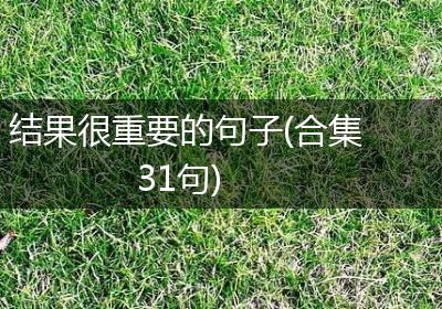 结果很重要的句子(合集31句)