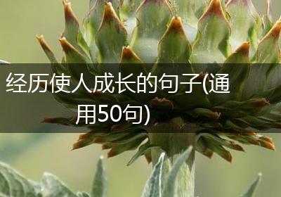 经历使人成长的句子(通用50句)