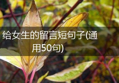 给女生的留言短句子(通用50句)
