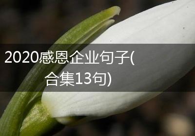 2020感恩企业句子(合集13句)