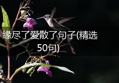 缘尽了爱散了句子(精选50句)