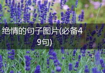 绝情的句子图片(必备49句)