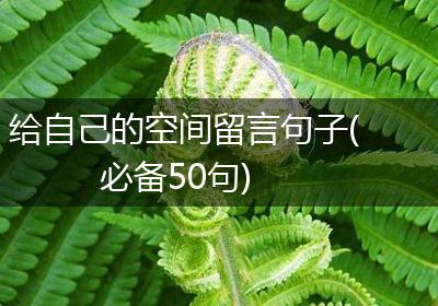 给自己的空间留言句子(必备50句)