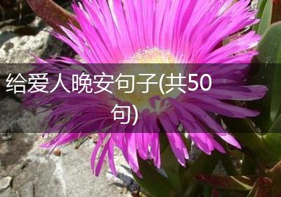 给爱人晚安句子(共50句)
