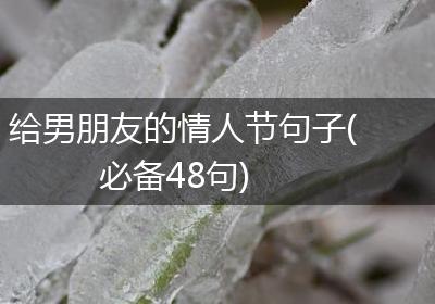 给男朋友的情人节句子(必备48句)
