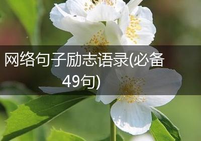网络句子励志语录(必备49句)