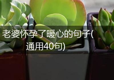 老婆怀孕了暖心的句子(通用40句)
