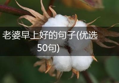 老婆早上好的句子(优选50句)