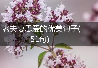 老夫妻恩爱的优美句子(51句)