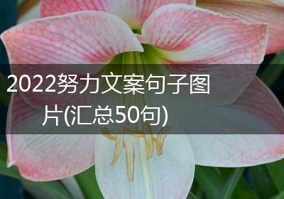 2022努力文案句子图片(汇总50句)