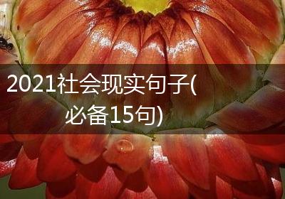 2021社会现实句子(必备15句)