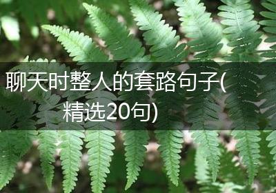 聊天时整人的套路句子(精选20句)