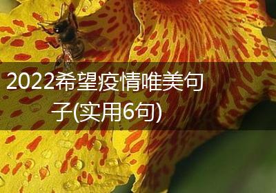 2022希望疫情唯美句子(实用6句)