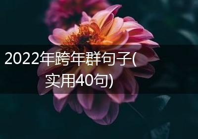2022年跨年群句子(实用40句)