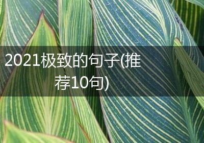 2021极致的句子(推荐10句)