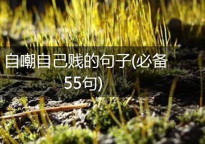 自嘲自己贱的句子(必备55句)