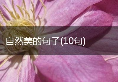 自然美的句子(10句)