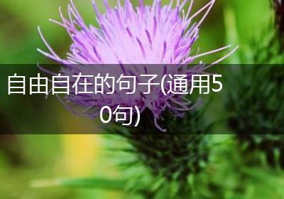自由自在的句子(通用50句)