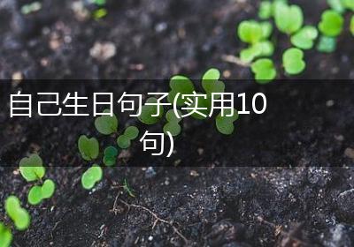 自己生日句子(实用10句)