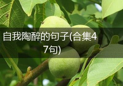 自我陶醉的句子(合集47句)